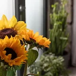Artspace Location-Opatija-3 Bedroom House With Rooftop Garden By Beach