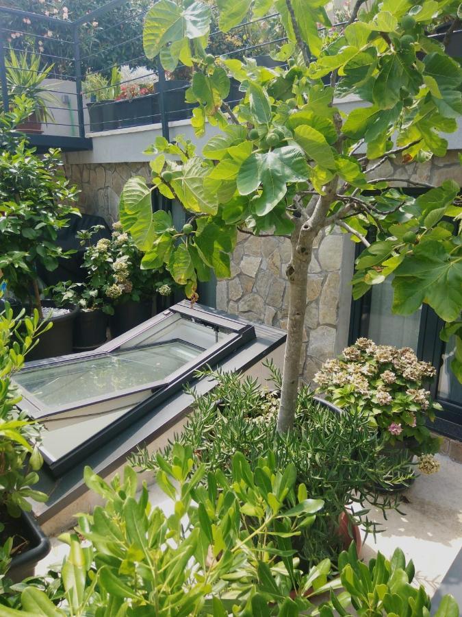 Artspace Location-opatija-3 Bedroom House With Rooftop Garden By *