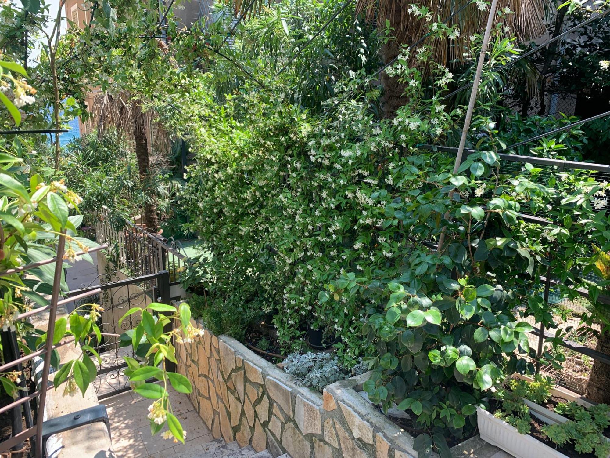 Artspace Location-opatija-3 Bedroom House With Rooftop Garden By
