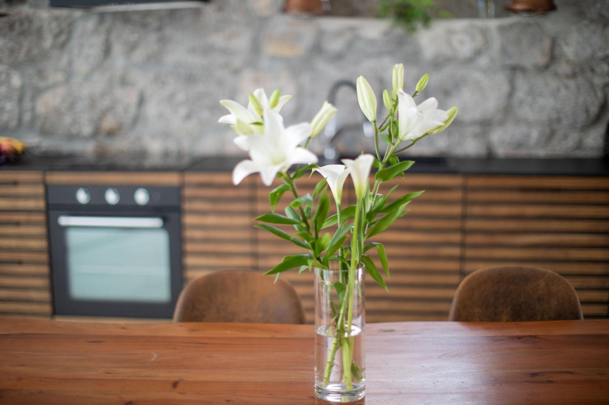 Apartmán Artspace Location-opatija-3 Bedroom House With Rooftop Garden By